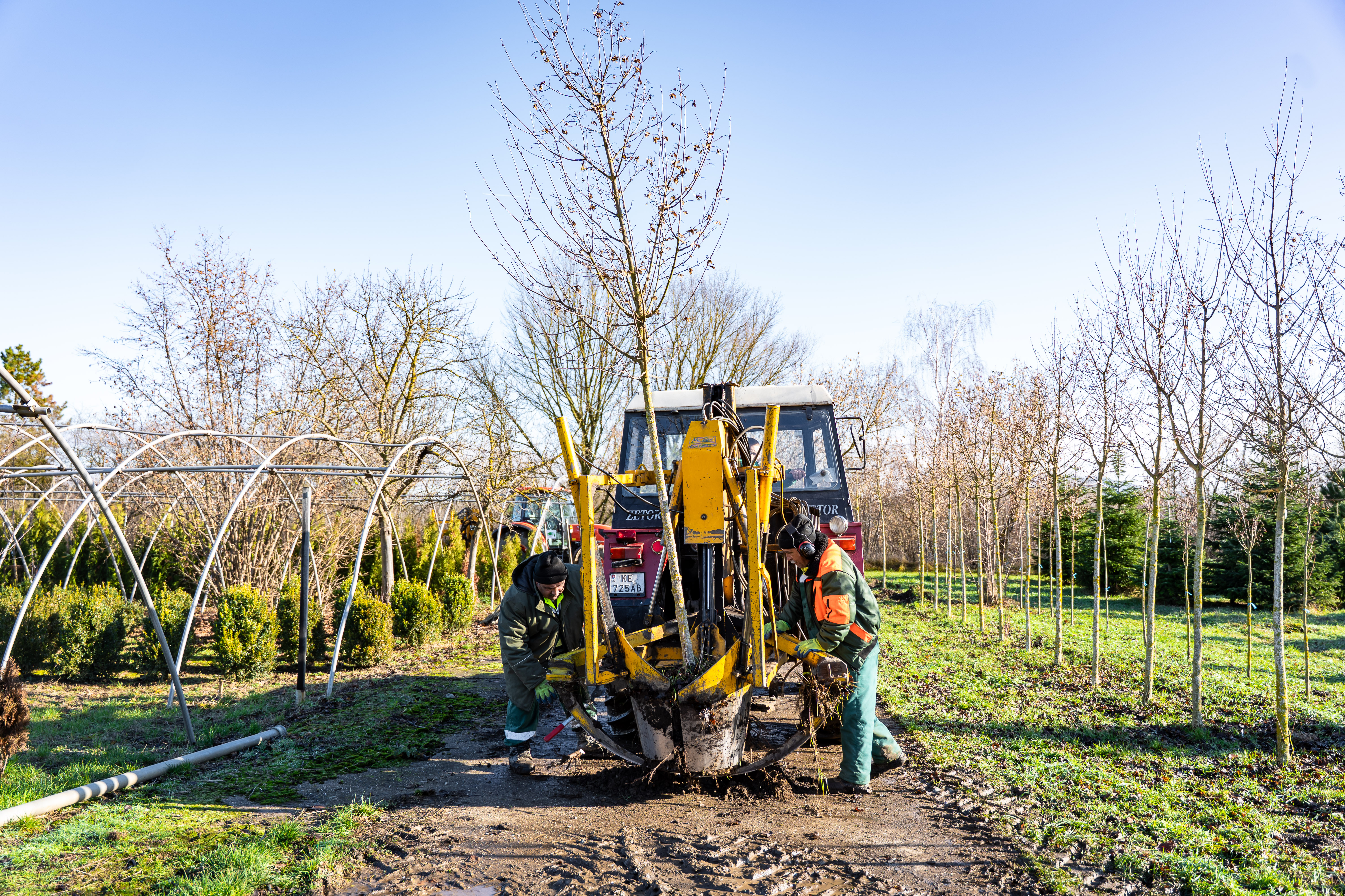 Kontrolna cinnost - Kompostaren mesta Kosice-42